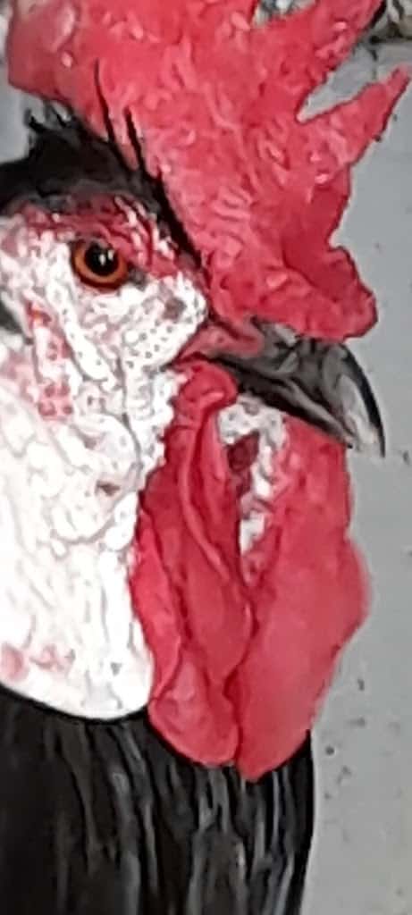 An Ode to the Farm – Writing Long-Form Poetry Truly Sucks…