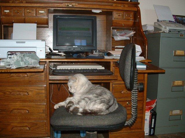 Writing Prompt – Write a brief story about a mischievous…