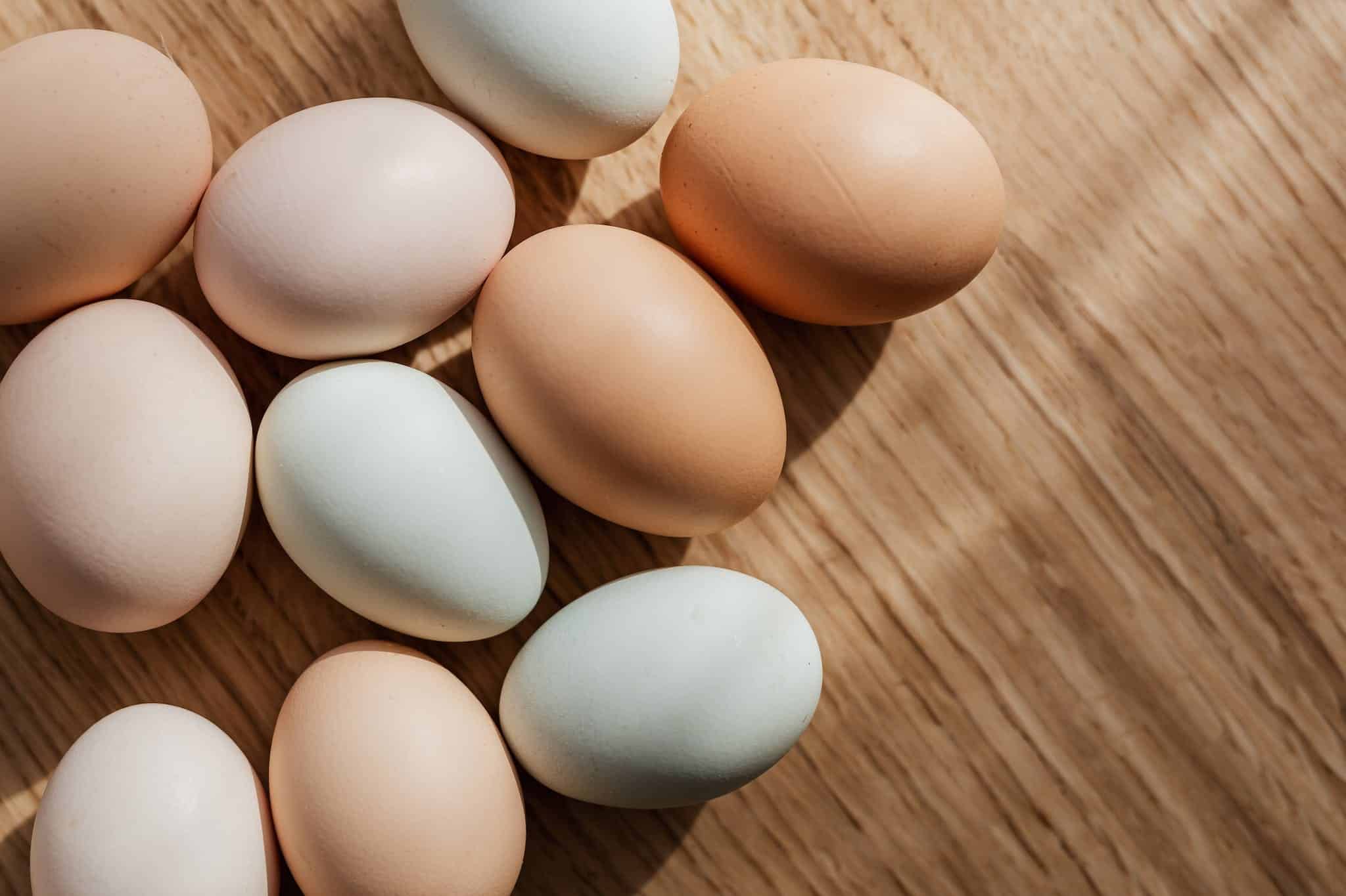 The Ultimate Guide to Optimal Lighting Hours for Egg Production ~ ( Hint: 14-16 Hours ) or How to Get More Eggs Consistently 2 Optimal Lighting Hours for Maximum Egg Production