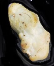 Egg inside an egg topic to introduce the Lash Egg Another weird phenomenon