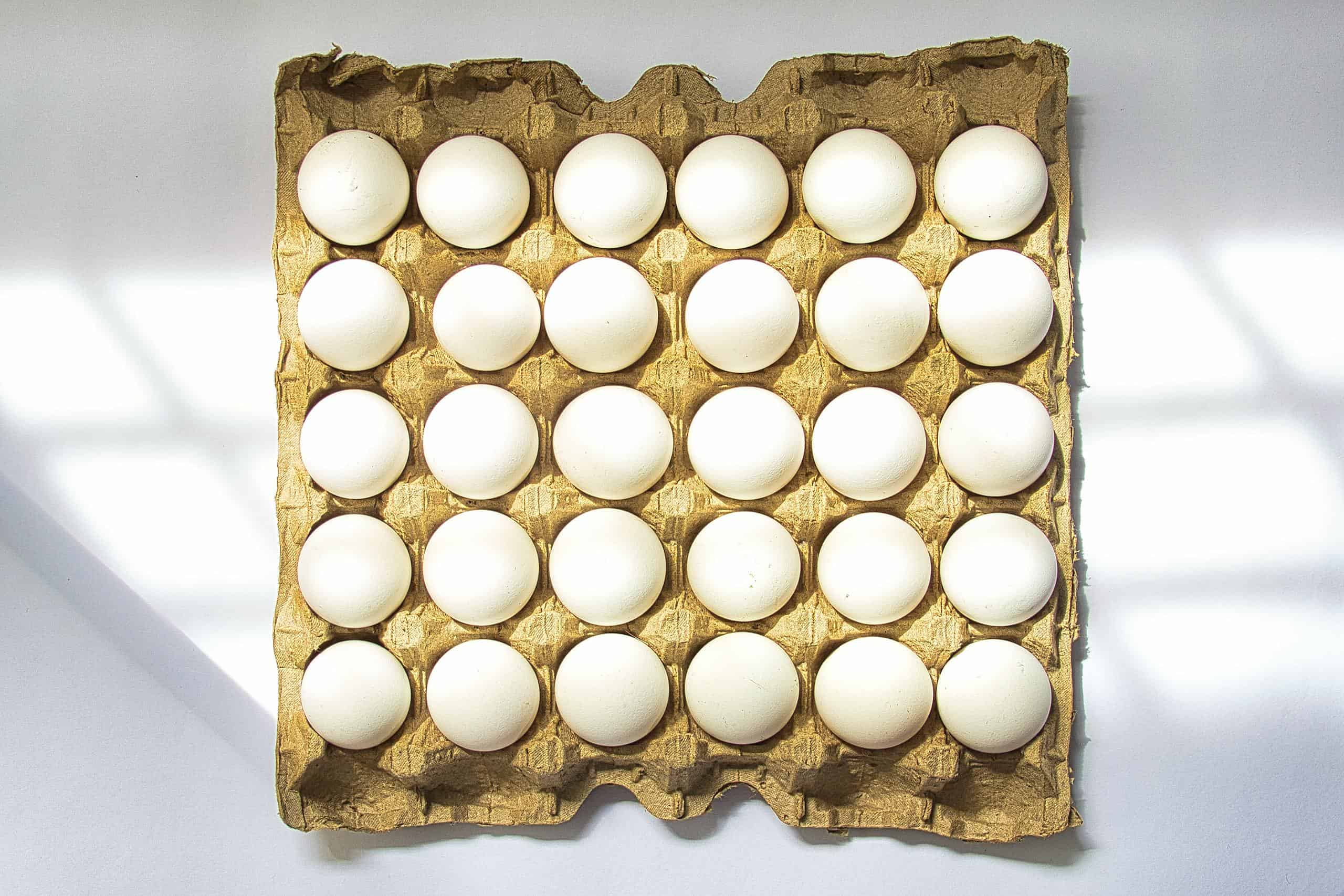 Increasing egg production. White eggs on a tray