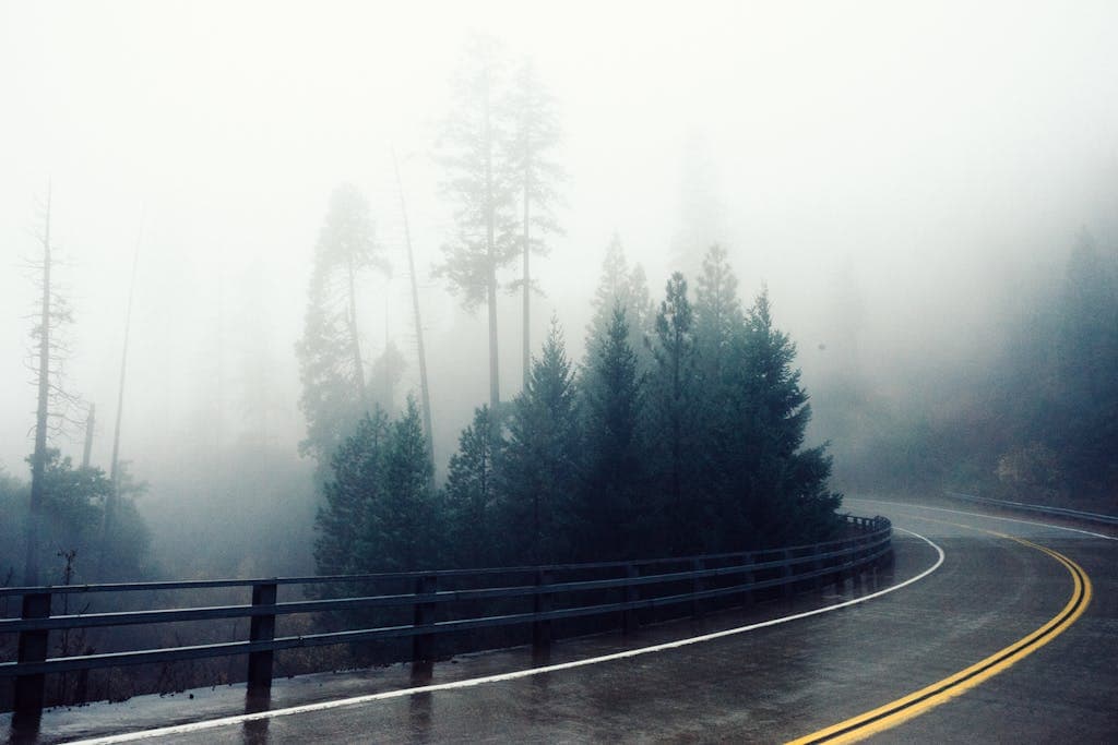 Writing Prompt for the Sense of the Unknown ~ A foggy road winding through a dense forest, creating a mysterious and serene atmosphere.